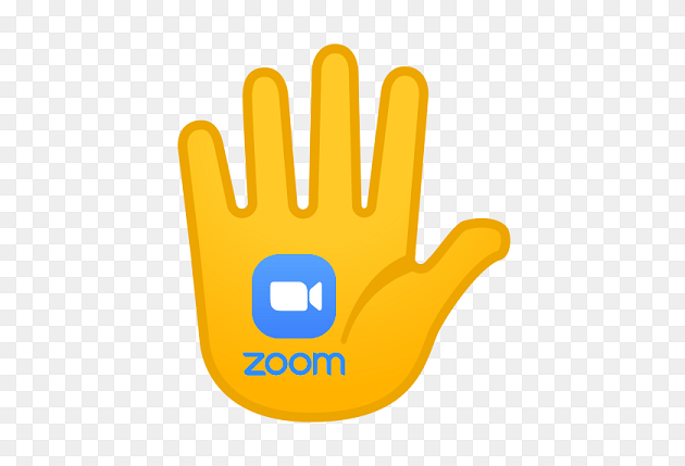 Zoom Gesture Recognition Feature
